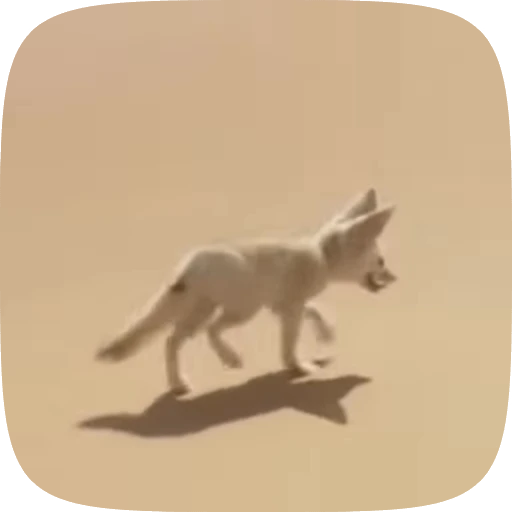 🌟 Стикер «fennec fox» для Telegram