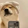 🌟 Эмодзи «парные статусы» для Telegram