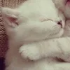 🌟 Эмодзи «парные статусы» для Telegram