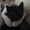 🌟 Эмодзи «парные статусы» для Telegram