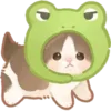 🐸 Эмодзи «Cats #cat #cute #girl #animal» для Telegram