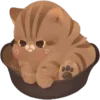 😠 Эмодзи «Cats #cat #cute #girl #animal» для Telegram