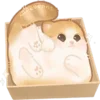📦 Эмодзи «Cats #cat #cute #girl #animal» для Telegram