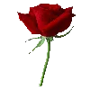 🌹 Эмодзи «Кровавые буквы и иконки сериала сумерки» для Telegram