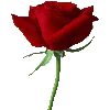 🌹 Эмодзи «Кровавые буквы и иконки сериала сумерки» для Telegram