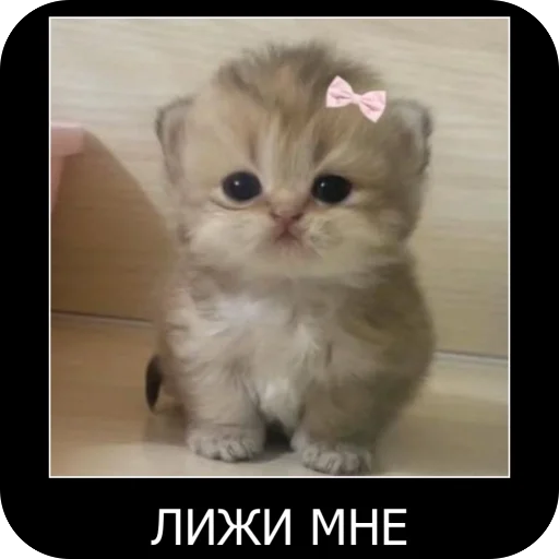 🫥 Стикер «УННВ» для Telegram