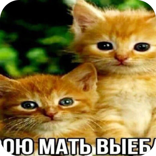 🫥 Стикер «УННВ» для Telegram