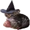 🧙‍♀️ Эмодзи «halloween #cute #girl #random» для Telegram