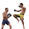 🦵 Эмодзи «Ufc Stars» для Telegram
