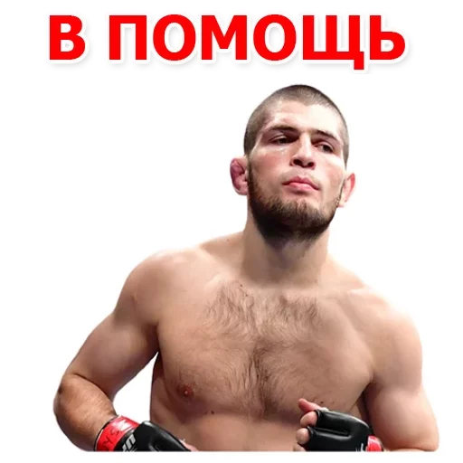 😡 Стикер «Хабиб Нурмагомедов & Конор Макгрегор» для Telegram