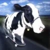 🤩 Эмодзи «Ultimate Memes 2» для Telegram