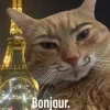 🤩 Эмодзи «Ultimate Memes 2» для Telegram