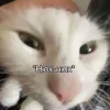🤩 Эмодзи «Ultimate Memes 2» для Telegram