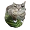 🤩 Эмодзи «Ultimate Memes 2» для Telegram