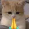 🤩 Эмодзи «Ultimate Memes 2» для Telegram