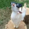 🤩 Эмодзи «Ultimate Memes 2» для Telegram