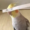🤩 Эмодзи «Ultimate Memes 2» для Telegram