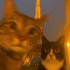 🤩 Эмодзи «Ultimate Memes 2» для Telegram