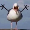 🤩 Эмодзи «Ultimate Memes 2» для Telegram