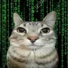 🤩 Эмодзи «Ultimate Memes 2» для Telegram