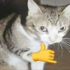 🤩 Эмодзи «Ultimate Memes 2» для Telegram