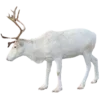 🦌 Эмодзи «Уютная Зима» для Telegram
