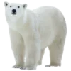 🐻 Эмодзи «Уютная Зима» для Telegram