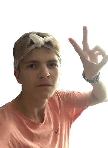 ✌️ Стикер «VEALOK» для Telegram