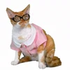 🐈‍⬛ Эмодзи «VIP» для Telegram