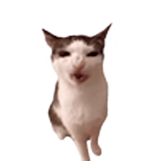 🐈‍⬛ Эмодзи «VIP» для Telegram