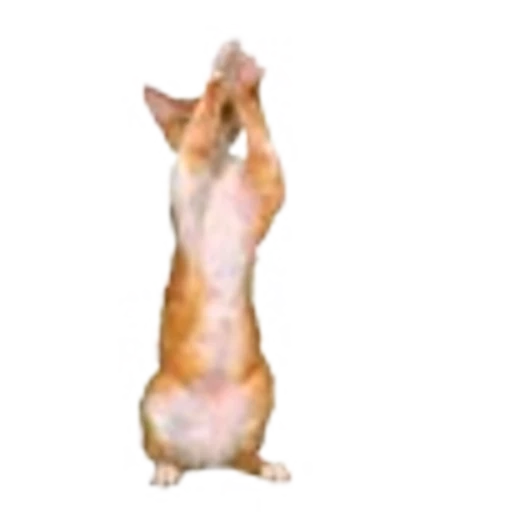 🐈‍⬛ Эмодзи «VIP» для Telegram
