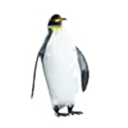 🐧 Эмодзи «VIP» для Telegram
