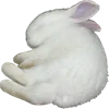 🐇 Эмодзи «Animals #animals #cute #girl» для Telegram