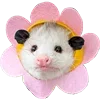 🌸 Эмодзи «Animals #animals #cute #girl» для Telegram