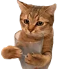 🥛 Эмодзи «Animals #animals #cute #girl» для Telegram