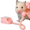 📞 Эмодзи «Animals #animals #cute #girl» для Telegram