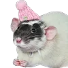 Стикерпак Animals #animals #cute #girl для Telegram