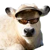 😎 Эмодзи «Animals #animals #cute #girl» для Telegram