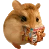 🐹 Эмодзи «Animals #animals #cute #girl» для Telegram