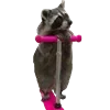 🛴 Эмодзи «Animals #animals #cute #girl» для Telegram