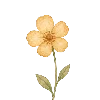 🌻 Эмодзи «Зелёные буквы» для Telegram