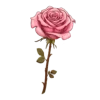 💐 Эмодзи «автор ->» для Telegram