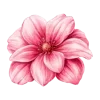 🌺 Эмодзи «автор ->» для Telegram