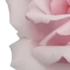 🤩 Эмодзи «Valentine's Day» для Telegram