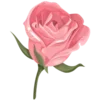 🌹 Эмодзи «💌💋𝑉𝑎𝑙𝑒𝑛𝑡𝑖𝑛𝑒'𝑠 𝐷𝑎𝑦 💋💌» для Telegram