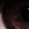 👠 Эмодзи «くꪜꪋꫀ ꫝ᥆ꪊ⡈ ᴸᴺ⡠» для Telegram
