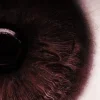 👠 Эмодзи «くꪜꪋꫀ ꫝ᥆ꪊ⡈ ᴸᴺ⡠» для Telegram