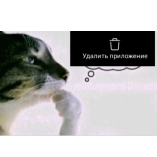 🫥 Стикер «предложение/новости» для Telegram
