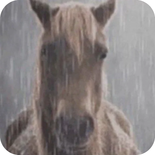 🫥 Стикер «предложение/новости» для Telegram