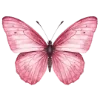🦋 Эмодзи «Любовь И Точка» для Telegram